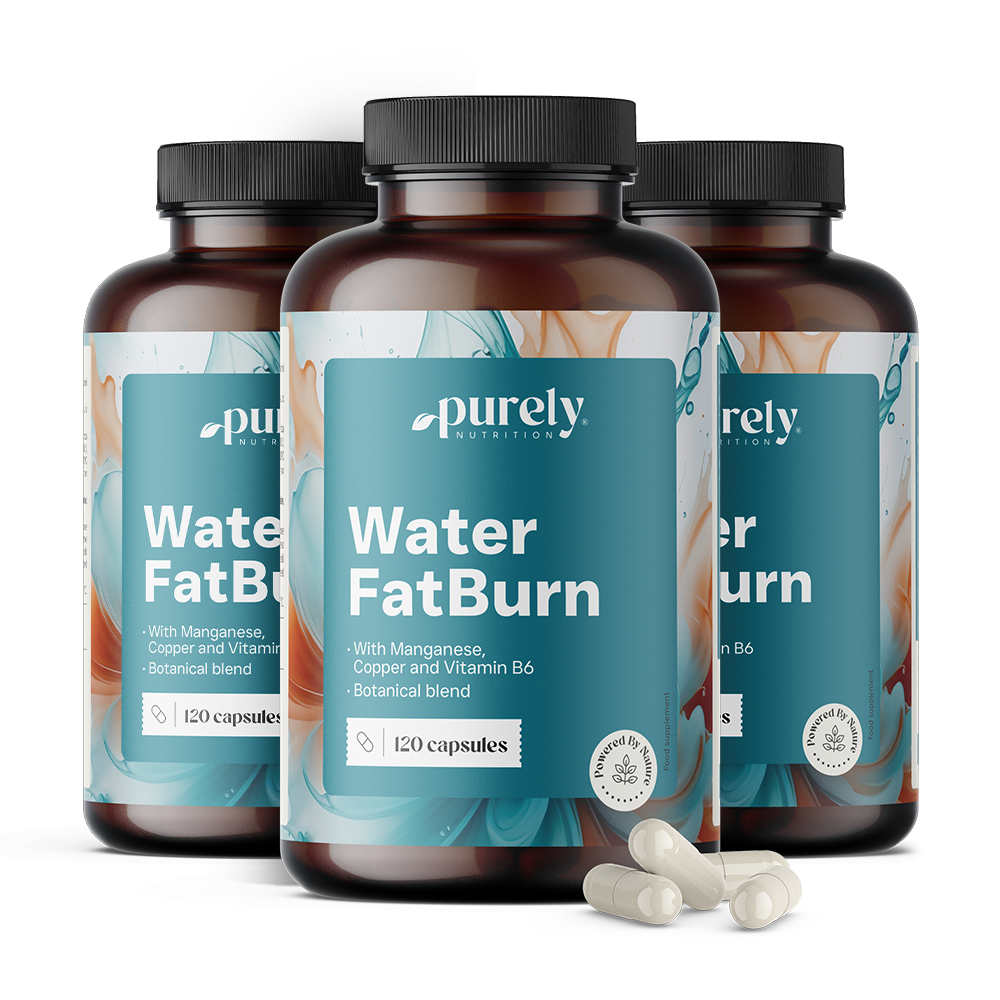 Wasser FatBurn.