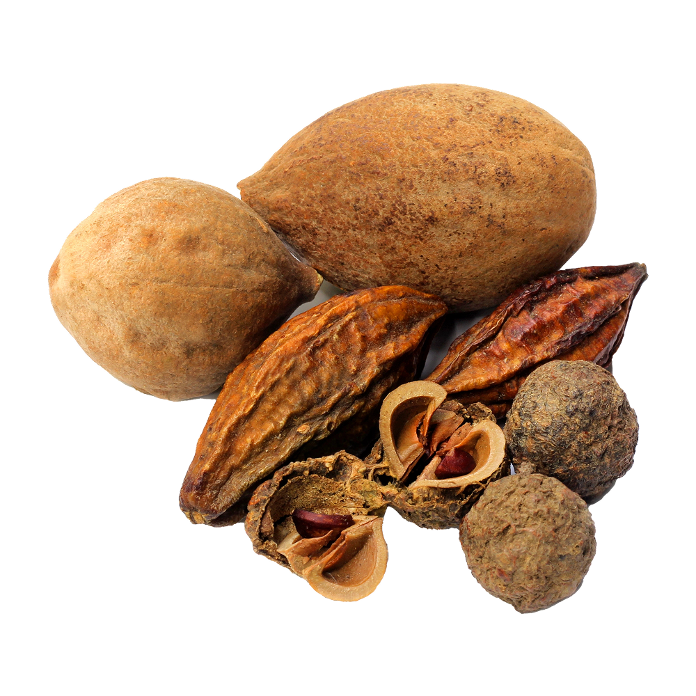 Triphala Mischung