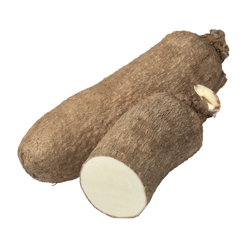 Wilder Yam